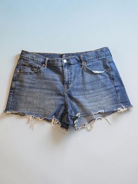 Denim Cutoff Women’s Shorts - Blue